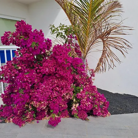 Luxury Sea View Senator Lanzarote Апартаменты